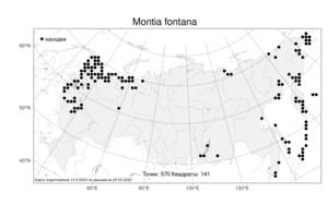 Montia fontana L., Atlas of the Russian Flora (FLORUS) (Russia)
