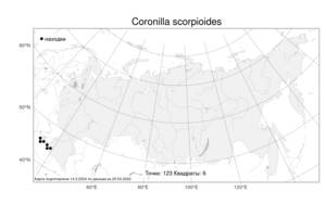 Coronilla scorpioides (L.) W.D.J.Koch, Atlas of the Russian Flora (FLORUS) (Russia)