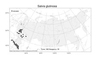 Salvia glutinosa L., Atlas of the Russian Flora (FLORUS) (Russia)