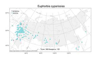 Euphorbia cyparissias L., Atlas of the Russian Flora (FLORUS) (Russia)