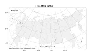 Pulsatilla taraoi (Makino) Takeda ex Zam. & Paegle, Atlas of the Russian Flora (FLORUS) (Russia)