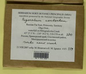 Pogonatum contortum (Menzies ex Brid.) Lesq., Bryophytes, Bryophytes - Russian Far East (excl. Chukotka & Kamchatka) (B20) (Russia)