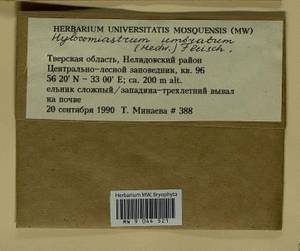 Hylocomiastrum umbratum (Hedw.) M. Fleisch. ex Broth., Bryophytes, Bryophytes - Middle Russia (B6) (Russia)