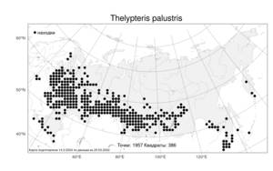 Thelypteris palustris Schott, Atlas of the Russian Flora (FLORUS) (Russia)