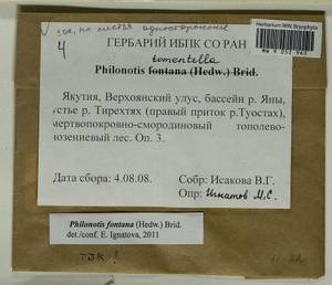 Philonotis fontana (Hedw.) Brid., Bryophytes, Bryophytes - Yakutia (B19) (Russia)