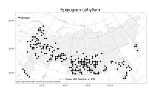 Epipogium aphyllum Sw., Atlas of the Russian Flora (FLORUS) (Russia)