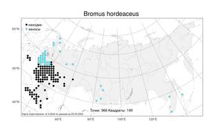 Bromus hordeaceus L., Atlas of the Russian Flora (FLORUS) (Russia)