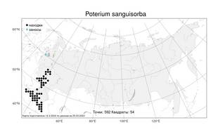 Poterium sanguisorba L., Atlas of the Russian Flora (FLORUS) (Russia)