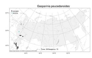 Gasparinia peucedanoides (M. Bieb.) Thell., Atlas of the Russian Flora (FLORUS) (Russia)