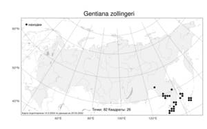 Gentiana zollingeri Fawc., Atlas of the Russian Flora (FLORUS) (Russia)