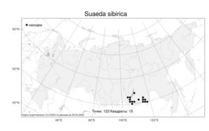Suaeda sibirica Lomon. & Freitag, Atlas of the Russian Flora (FLORUS) (Russia)