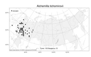 Alchemilla tichomirovii Czkalov, Atlas of the Russian Flora (FLORUS) (Russia)