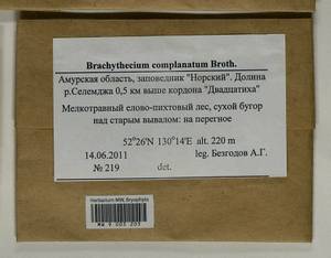 Brachythecium complanatum Broth., Bryophytes, Bryophytes - Russian Far East (excl. Chukotka & Kamchatka) (B20) (Russia)