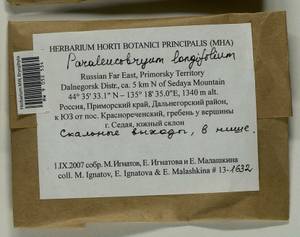 Paraleucobryum longifolium (Ehrh. ex Hedw.) Loeske, Bryophytes, Bryophytes - Russian Far East (excl. Chukotka & Kamchatka) (B20) (Russia)