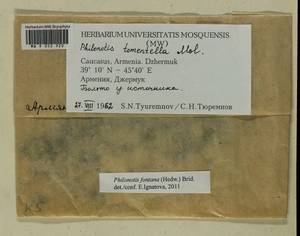 Philonotis fontana (Hedw.) Brid., Bryophytes, Bryophytes - Transcaucasia (B13) (Armenia)