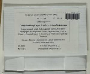 Campylium longicuspis (Lindb. & Arnell) Hedenäs, Bryophytes, Bryophytes - Krasnoyarsk Krai, Tyva & Khakassia (B17) (Russia)