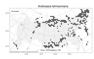 Androsace chamaejasme subsp. lehmanniana (Spreng.) Hultén, Atlas of the Russian Flora (FLORUS) (Russia)