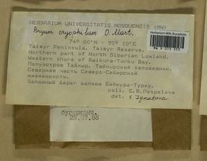 Ptychostomum cryophilum (Mårtensson) J.R. Spence, Bryophytes, Bryophytes - Krasnoyarsk Krai, Tyva & Khakassia (B17) (Russia)