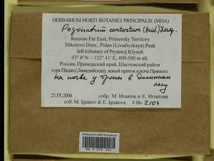 Pogonatum contortum (Menzies ex Brid.) Lesq., Bryophytes, Bryophytes - Russian Far East (excl. Chukotka & Kamchatka) (B20) (Russia)