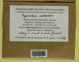 Pogonatum contortum (Menzies ex Brid.) Lesq., Bryophytes, Bryophytes - Russian Far East (excl. Chukotka & Kamchatka) (B20) (Russia)