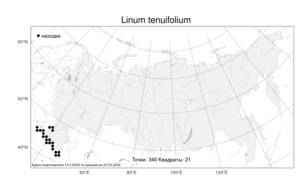 Linum tenuifolium L., Atlas of the Russian Flora (FLORUS) (Russia)