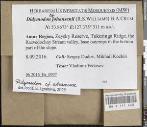 Didymodon abramovae Ignatova & Fedosov, Bryophytes, Bryophytes - Russian Far East (excl. Chukotka & Kamchatka) (B20) (Russia)