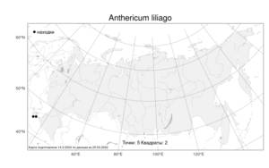 Anthericum liliago L., Atlas of the Russian Flora (FLORUS) (Russia)