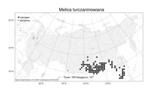 Melica turczaninowiana Ohwi, Atlas of the Russian Flora (FLORUS) (Russia)