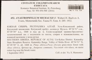 Anastrophyllum michauxii (F. Weber) H. Buch, Bryophytes, Bryophytes - Western Siberia (including Altai) (B15) (Russia)