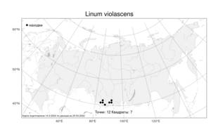 Linum violascens Bunge, Atlas of the Russian Flora (FLORUS) (Russia)