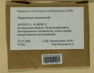 Plagiomnium drummondii (Bruch & Schimp.) T.J. Kop., Bryophytes, Bryophytes - Middle Russia (B6) (Russia)