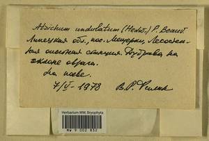 Atrichum undulatum (Hedw.) P. Beauv., Bryophytes, Bryophytes - Central forest-and-steppe region (B10) (Russia)
