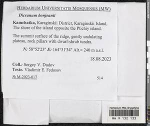 Dicranum bonjeanii De Not., Bryophytes, Bryophytes - Chukotka & Kamchatka (B21) (Russia)