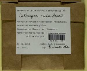Calliergon richardsonii (Mitt.) Kindb. ex G. Roth, Bryophytes, Bryophytes - North Caucasus & Ciscaucasia (B12) (Russia)