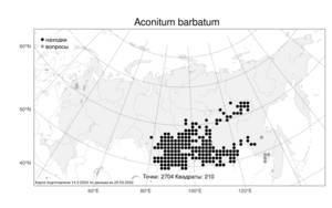 Aconitum barbatum Patrin ex Pers., Atlas of the Russian Flora (FLORUS) (Russia)