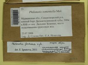 Philonotis fontana (Hedw.) Brid., Bryophytes, Bryophytes - Karelia, Leningrad & Murmansk Oblasts (B4) (Russia)