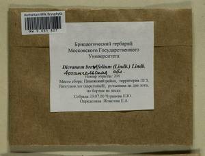 Dicranum brevifolium (Lindb.) Lindb., Bryophytes, Bryophytes - European North East (B7) (Russia)