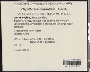 Plagiothecium svalbardense Frisvoll, Bryophytes, Bryophytes - Russian Far East (excl. Chukotka & Kamchatka) (B20) (Russia)