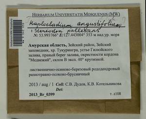 Haplocladium angustifolium (Hampe & Müll. Hal.) Broth., Bryophytes, Bryophytes - Russian Far East (excl. Chukotka & Kamchatka) (B20) (Russia)