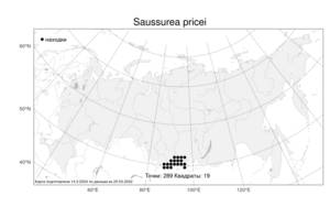Saussurea pricei N. D. Simpson, Atlas of the Russian Flora (FLORUS) (Russia)