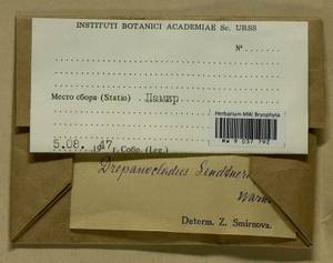 Drepanocladus sendtneri (Schimp. ex H. Müll.) Warnst., Bryophytes, Bryophytes - Middle Asia & Kazakhstan (B16) (Tajikistan)