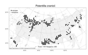 Potentilla crantzii (Crantz) Beck ex Fritsch, Atlas of the Russian Flora (FLORUS) (Russia)