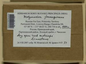 Geheebia ferruginea (Schimp. ex Besch.) R.H. Zander, Bryophytes, Bryophytes - Russian Far East (excl. Chukotka & Kamchatka) (B20) (Russia)