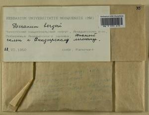 Dicranum undulatum Schrad. ex Brid., Bryophytes, Bryophytes - Chukotka & Kamchatka (B21) (Russia)
