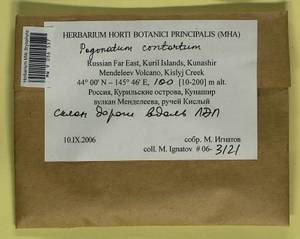 Pogonatum contortum (Menzies ex Brid.) Lesq., Bryophytes, Bryophytes - Russian Far East (excl. Chukotka & Kamchatka) (B20) (Russia)