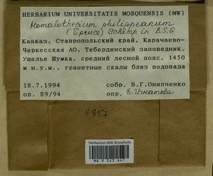 Homalothecium philippeanum (Spruce) Schimp., Bryophytes, Bryophytes - North Caucasus & Ciscaucasia (B12) (Russia)