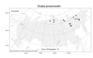 Draba hirta L., Atlas of the Russian Flora (FLORUS) (Russia)