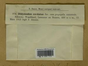 Didymodon cordatus Jur., Bryophytes, Bryophytes - Western Europe (BEu) (Switzerland)