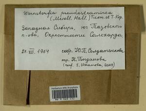 Warnstorfia pseudostraminea (Müll. Hal.) Tuom. & T.J. Kop., Bryophytes, Bryophytes - Western Siberia (including Altai) (B15) (Russia)