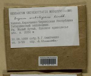 Rosulabryum moravicum (Podp.) Ochyra & Stebel, Bryophytes, Bryophytes - North Caucasus & Ciscaucasia (B12) (Russia)